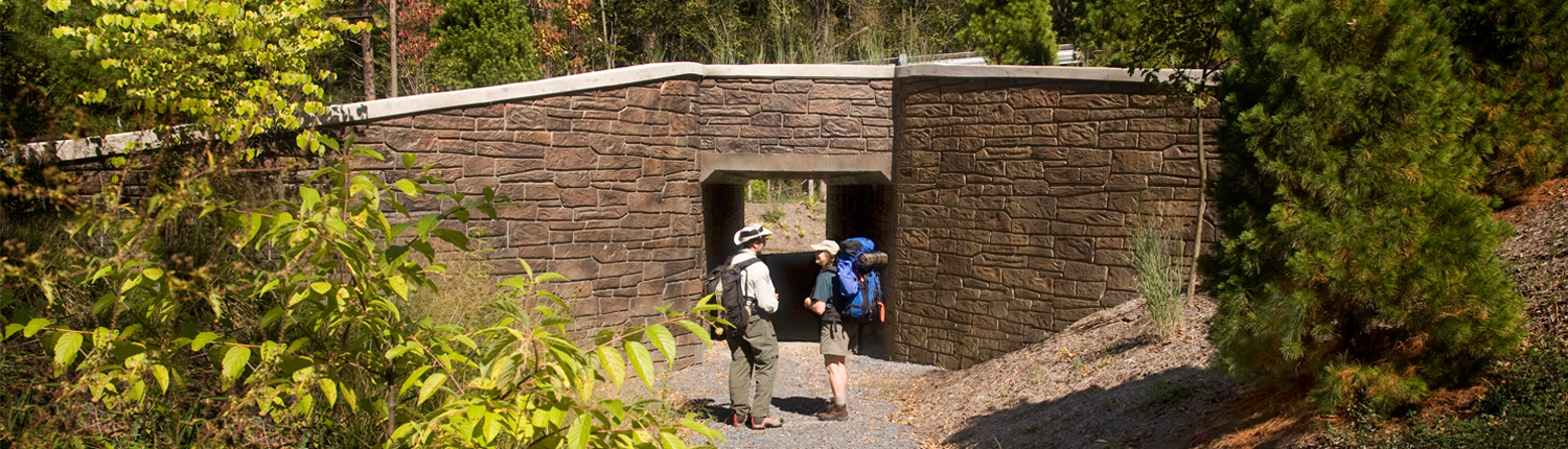 Cumberland Appalachian Trail Conservancy