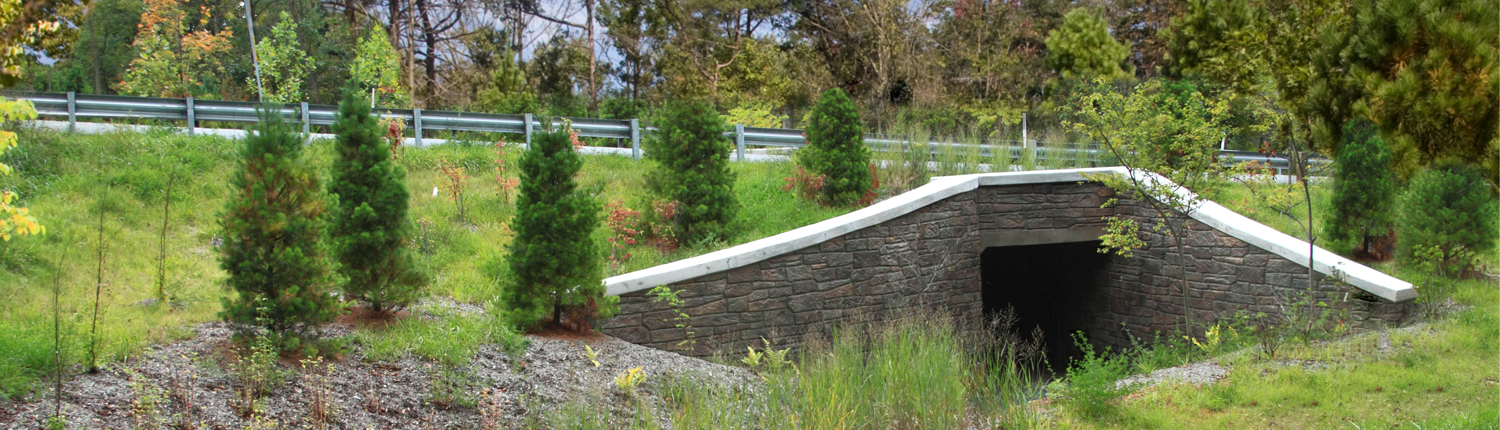 Cumberland Appalachian Trail Conservancy