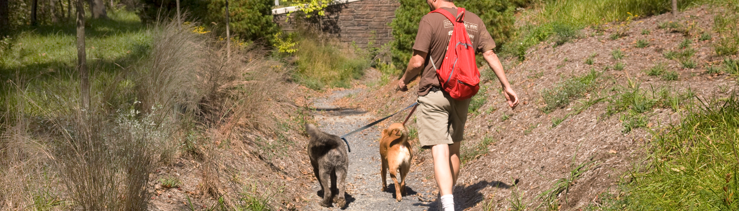 Cumberland Appalachian Trail Conservancy