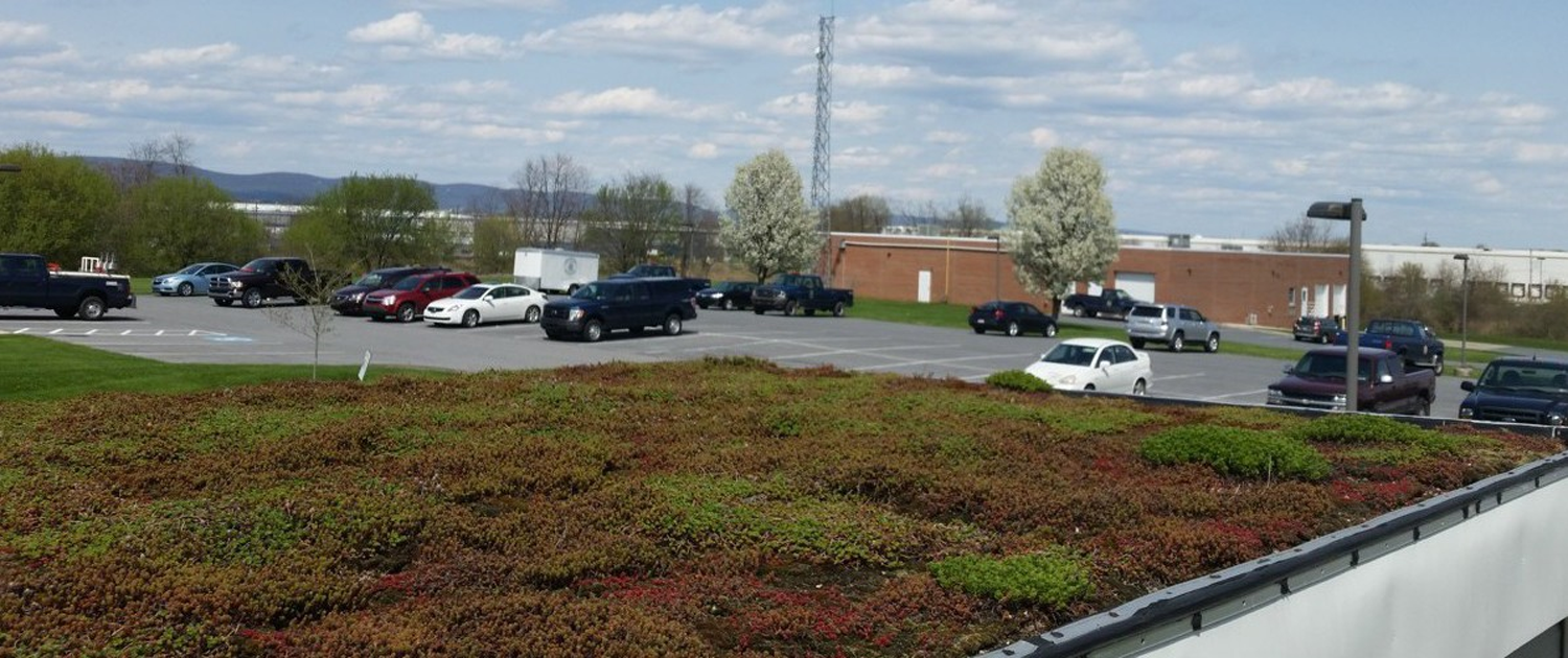 Stormwater Best Management Practices Demonstration Park