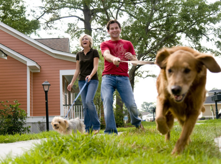 Couple walking dog