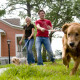 Couple walking dog