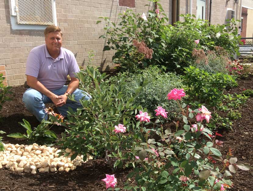 rain garden behind Middletown Borough building