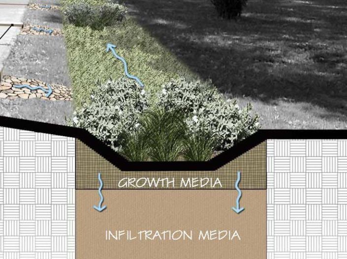 Green infrastructure: bioswale in Frick Park