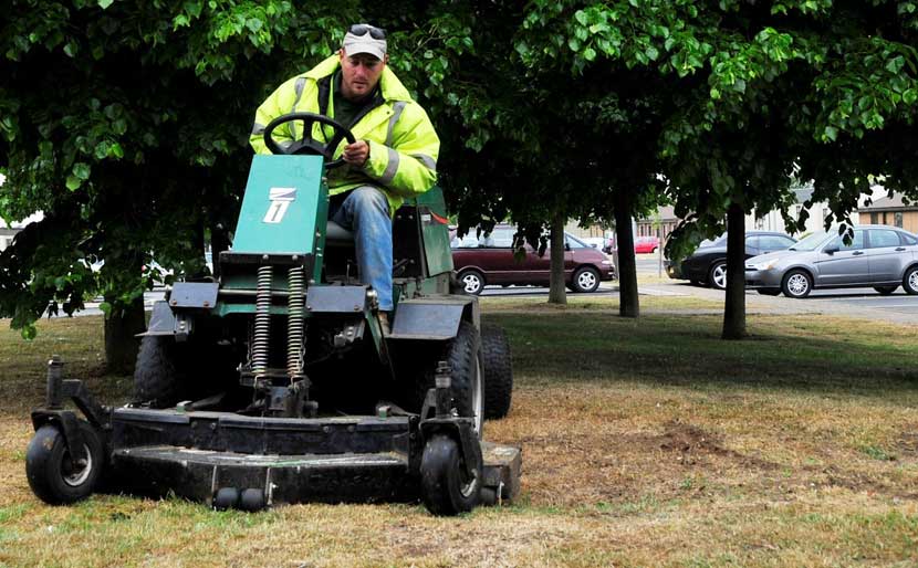 Native vegetation requires less maintenace than turf grass