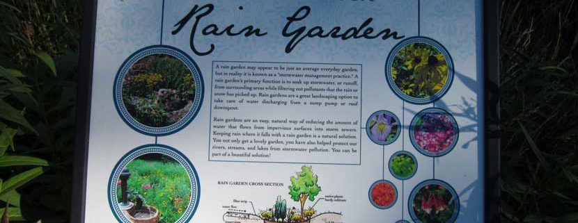 Educational signage about rain garden