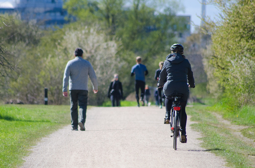 Walking and biking in the park