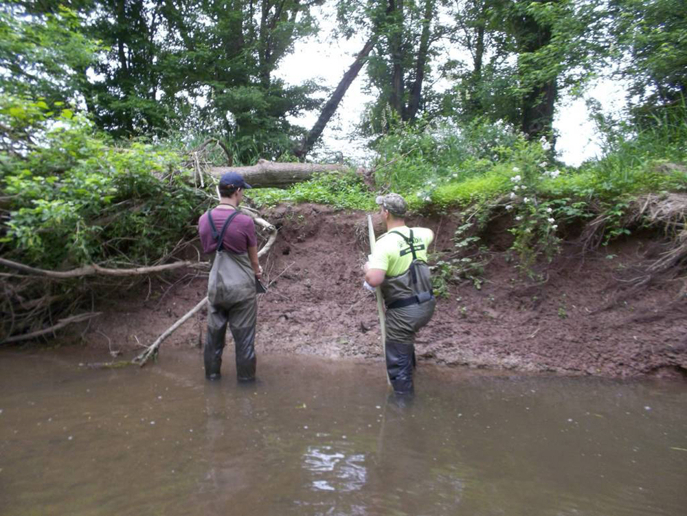 Conewago Creek BANCs Assessment