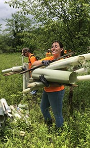 Erin Threet plants trees