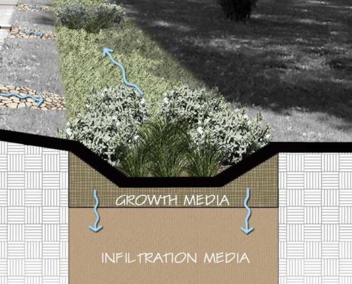 Green infrastructure: bioswale in Frick Park
