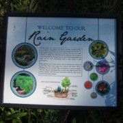 Educational signage about rain garden
