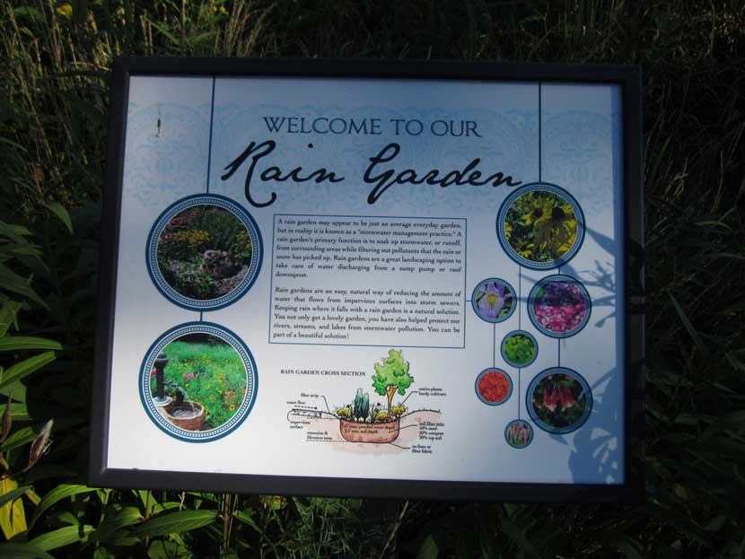 Educational signage about rain garden