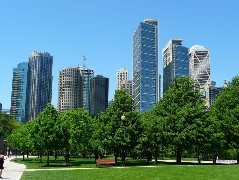 Park with skyscrapers behind it