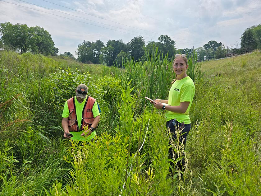 Intern Elena Halmi assists Dan Angelo with wetland monitoring