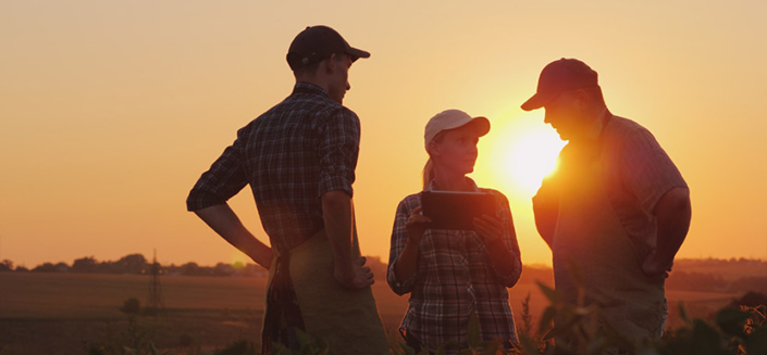 3 people talking in an open field at sunset