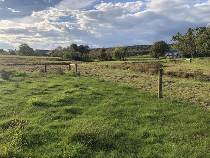 Farmland with fence