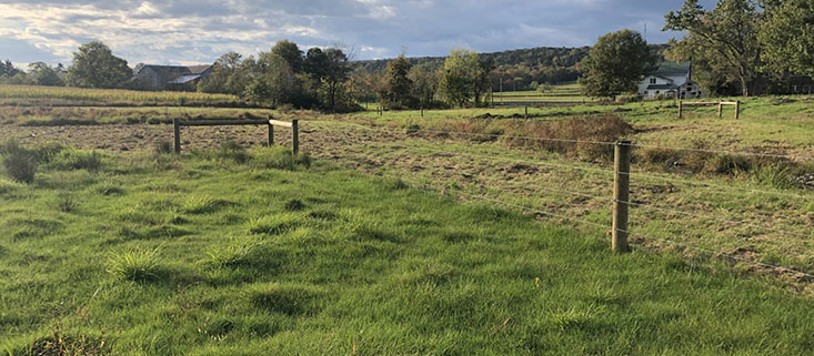 Farmland with fence