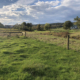 Farmland with fence